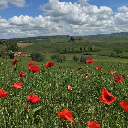Apartament Residenza D'Epoca La Rosa Pienza Zewnętrze zdjęcie