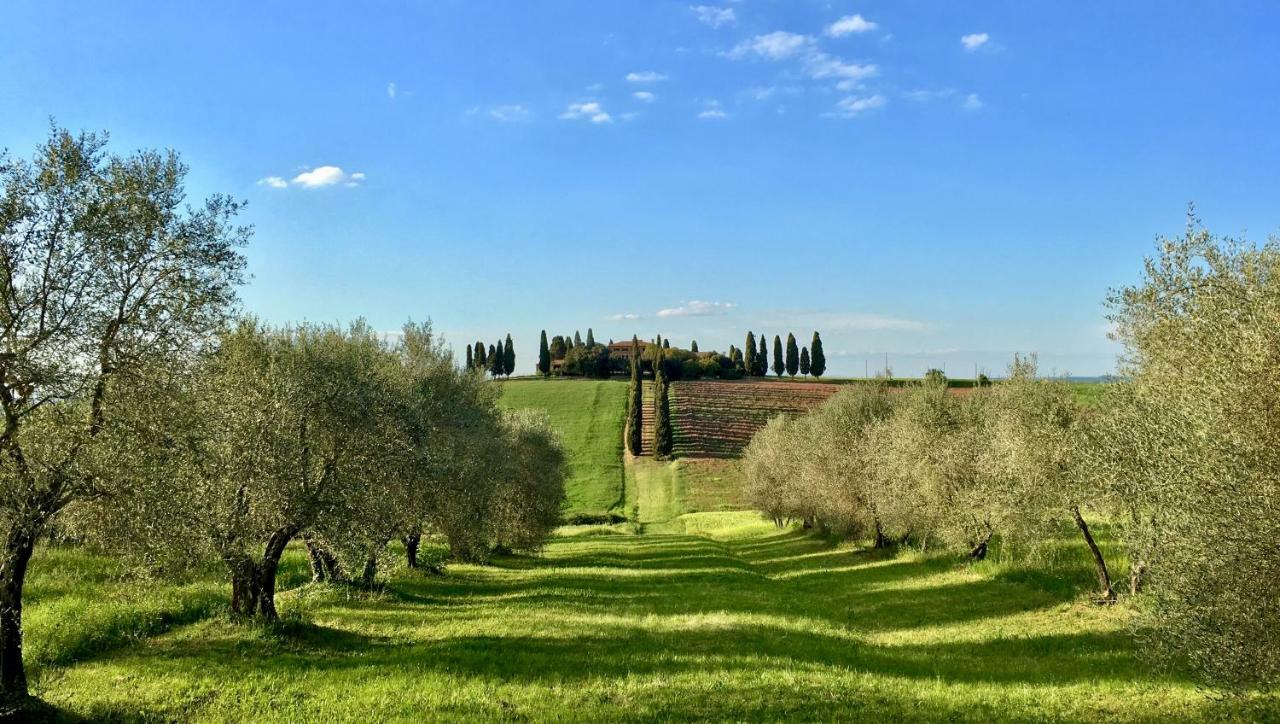 Apartament Residenza D'Epoca La Rosa Pienza Zewnętrze zdjęcie