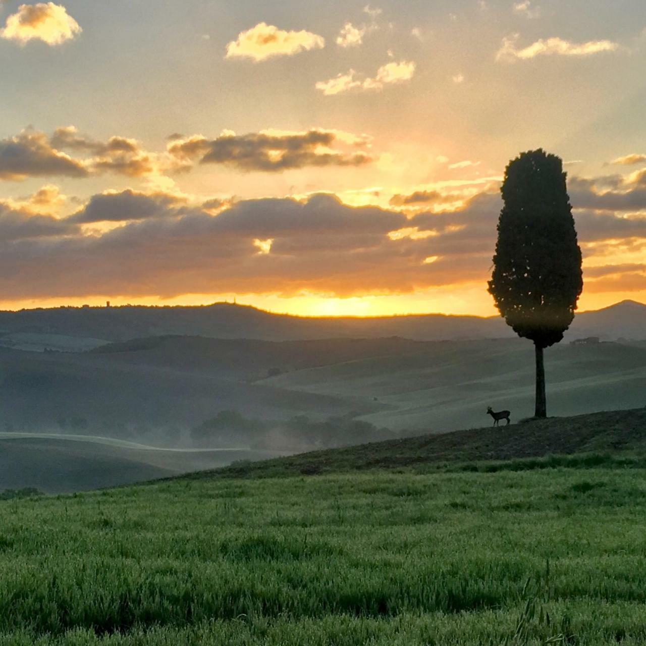 Apartament Residenza D'Epoca La Rosa Pienza Zewnętrze zdjęcie