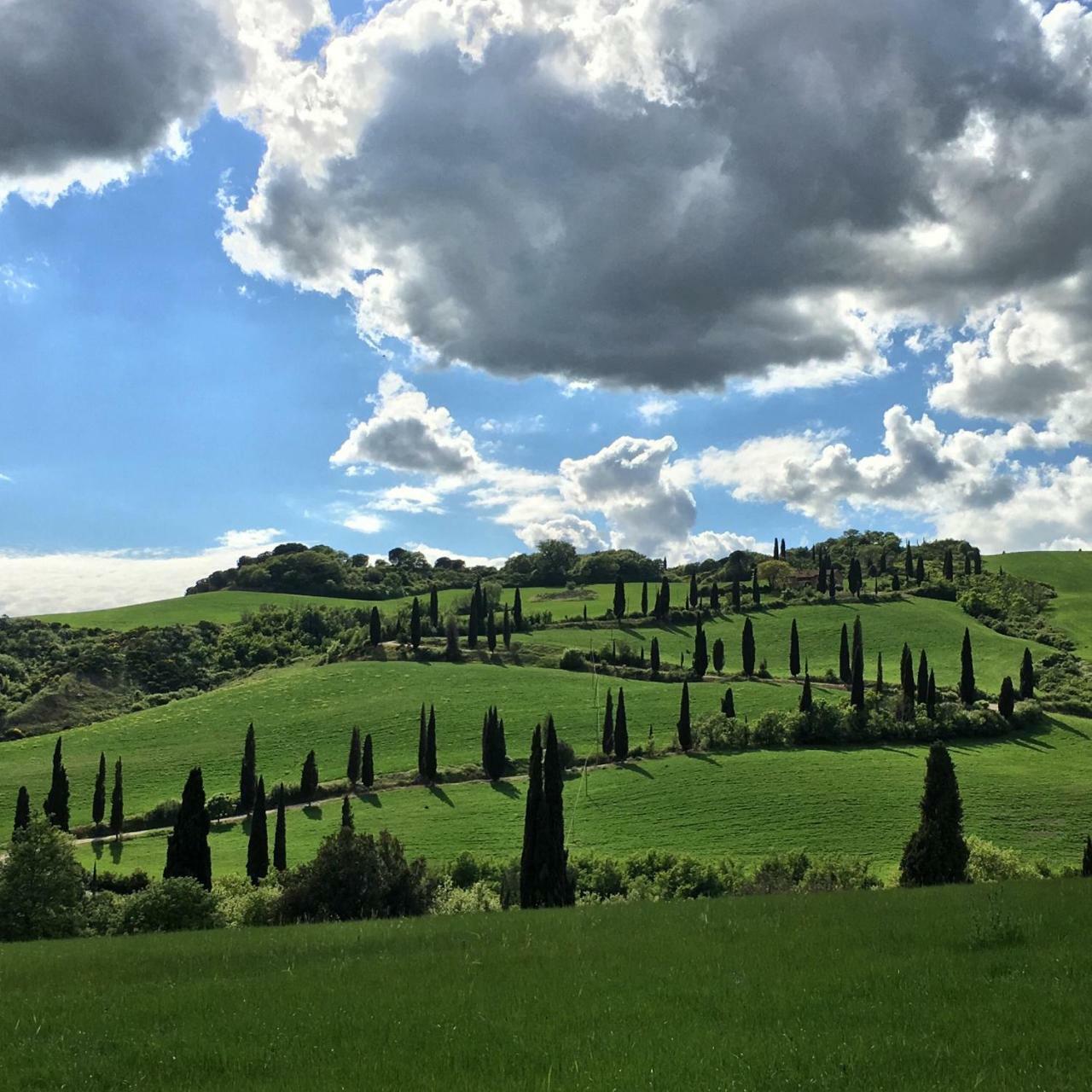 Apartament Residenza D'Epoca La Rosa Pienza Zewnętrze zdjęcie