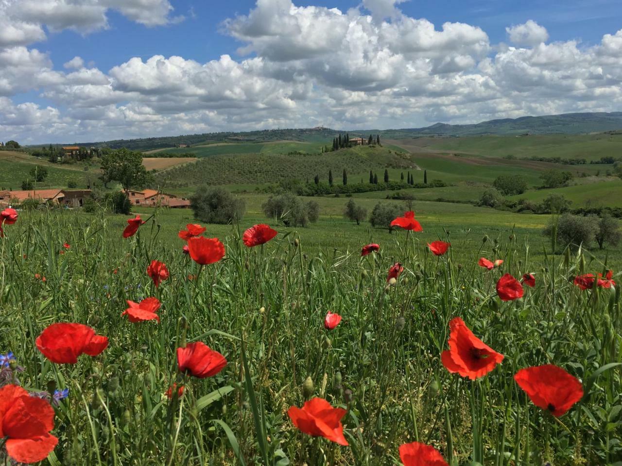 Apartament Residenza D'Epoca La Rosa Pienza Zewnętrze zdjęcie
