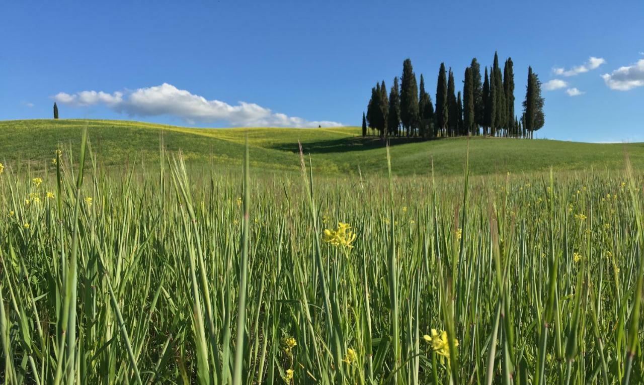 Apartament Residenza D'Epoca La Rosa Pienza Zewnętrze zdjęcie